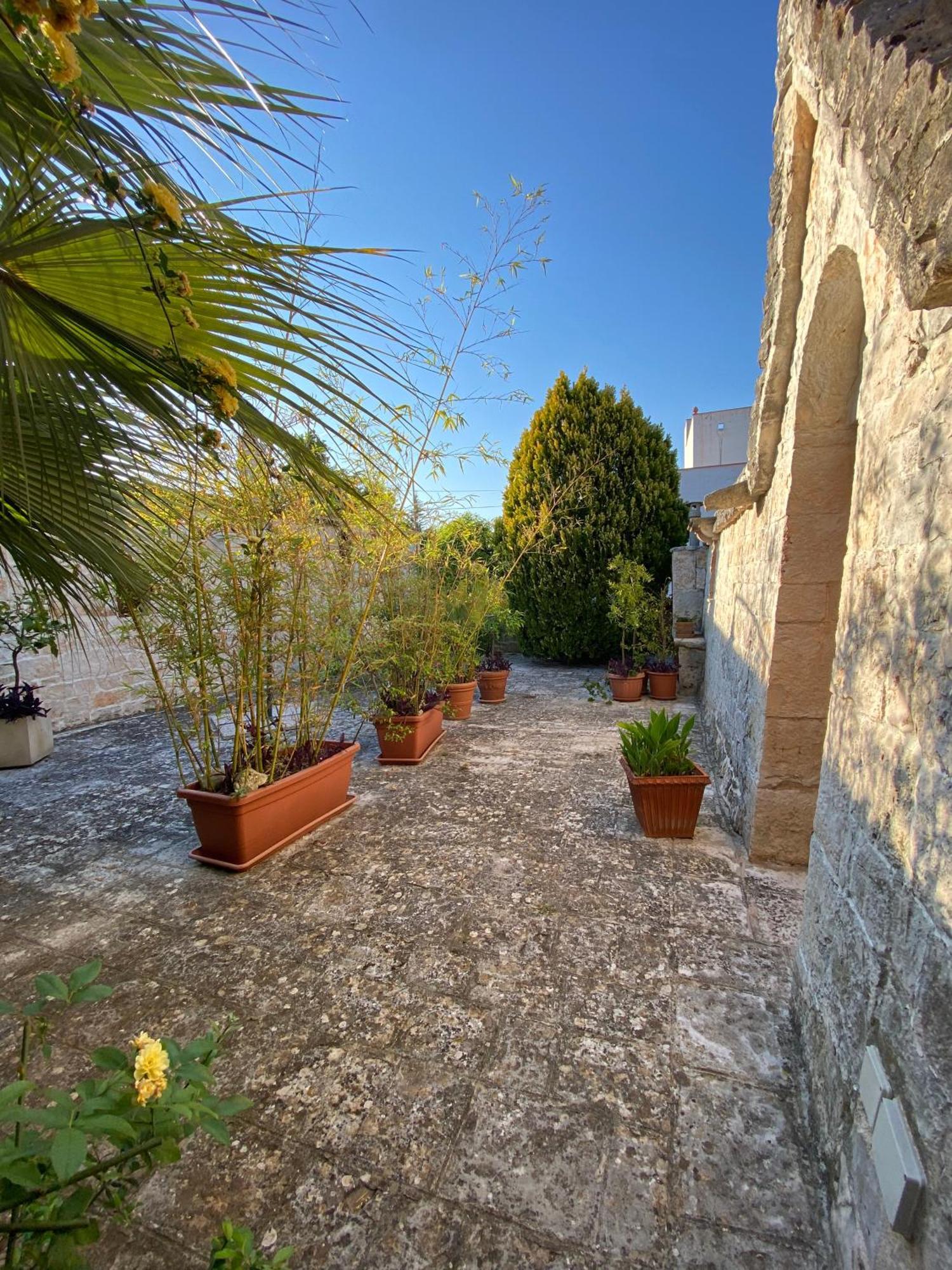 Trulli And Nature Antonelli Chambre photo