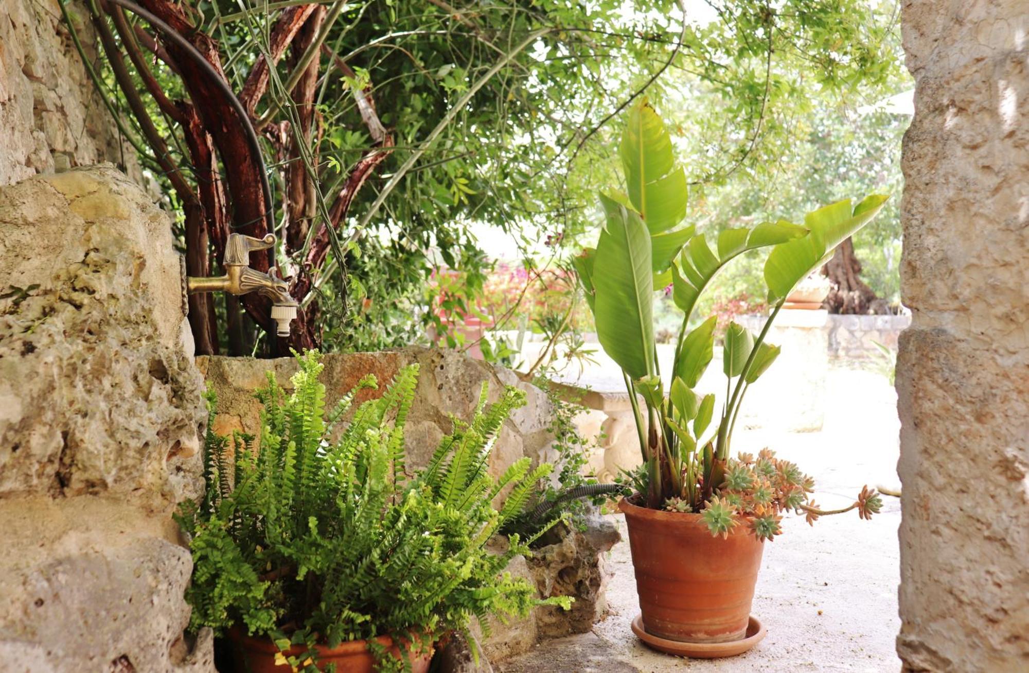 Trulli And Nature Antonelli Chambre photo