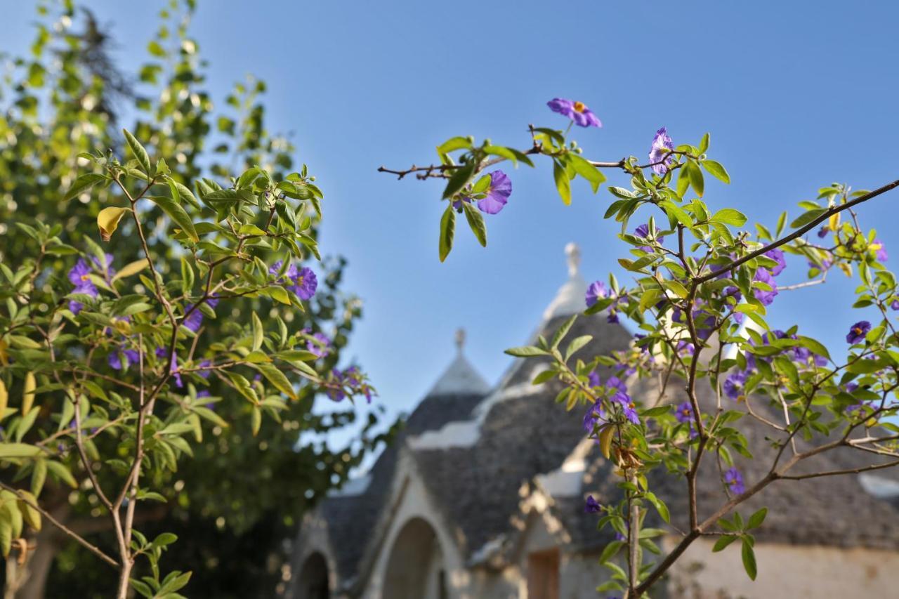 Trulli And Nature Antonelli Extérieur photo