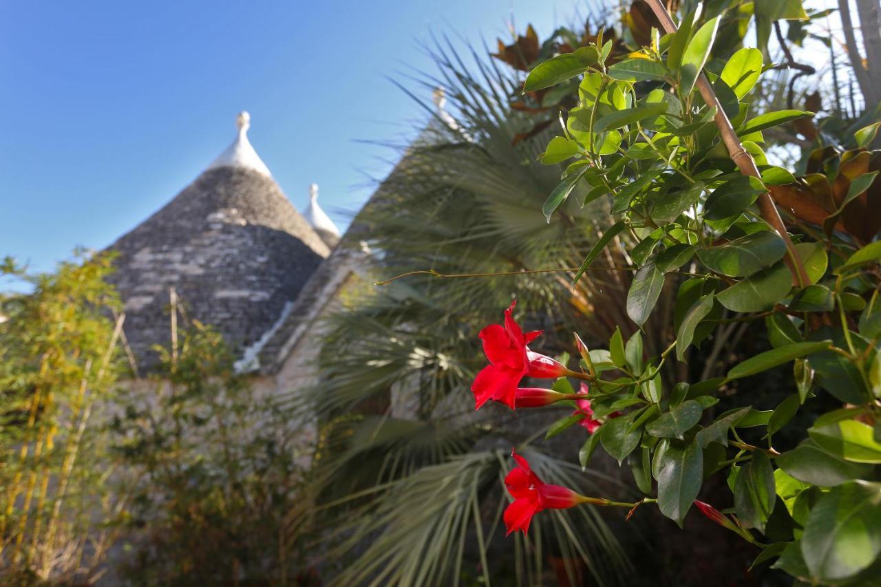 Trulli And Nature Antonelli Extérieur photo